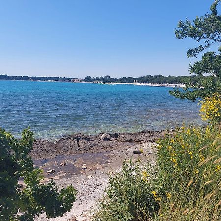 Neu Renovierte Ferienwohnung Mit Klima, Wlan, Terrasse Und Grill Pula Exteriör bild
